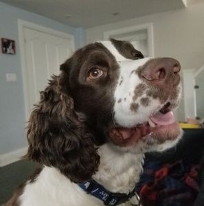 Meet your Posher, Angela